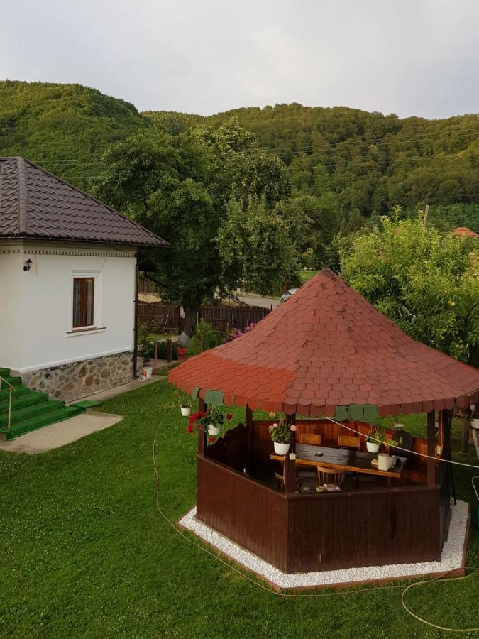 La Bunicu Villa Polovragi Dış mekan fotoğraf